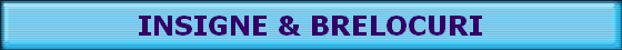 INSIGNE & BRELOCURI